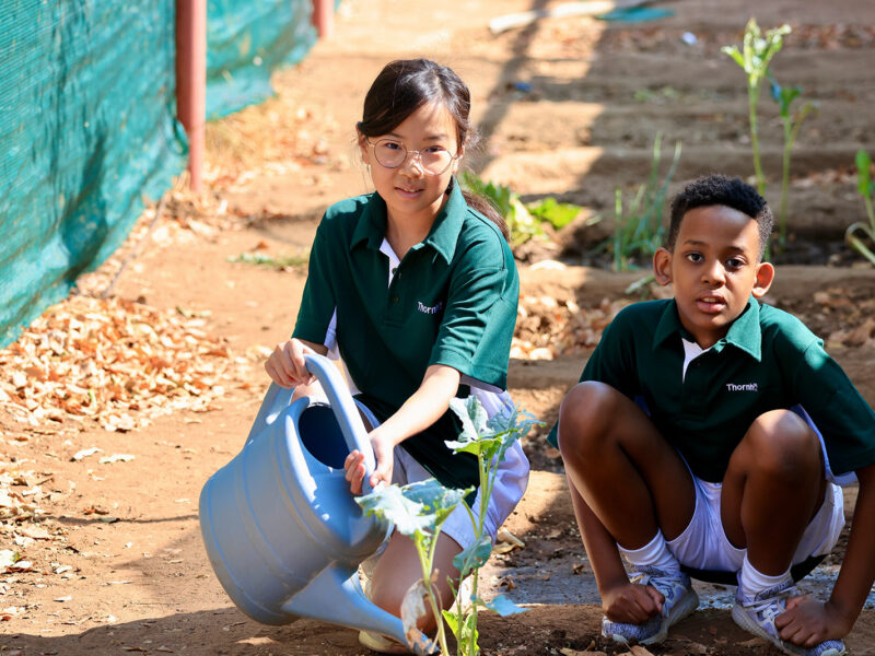 Thornhill Primary School