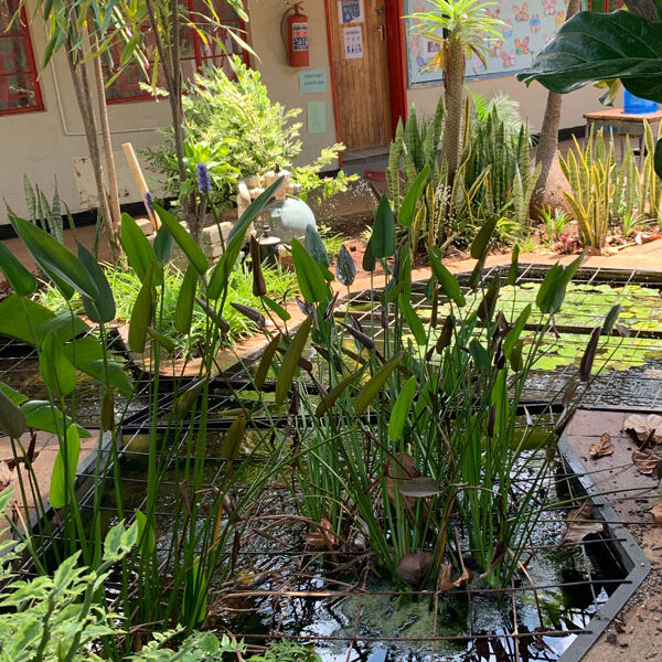 Morula International School